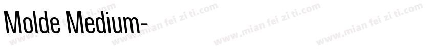Molde Medium字体转换